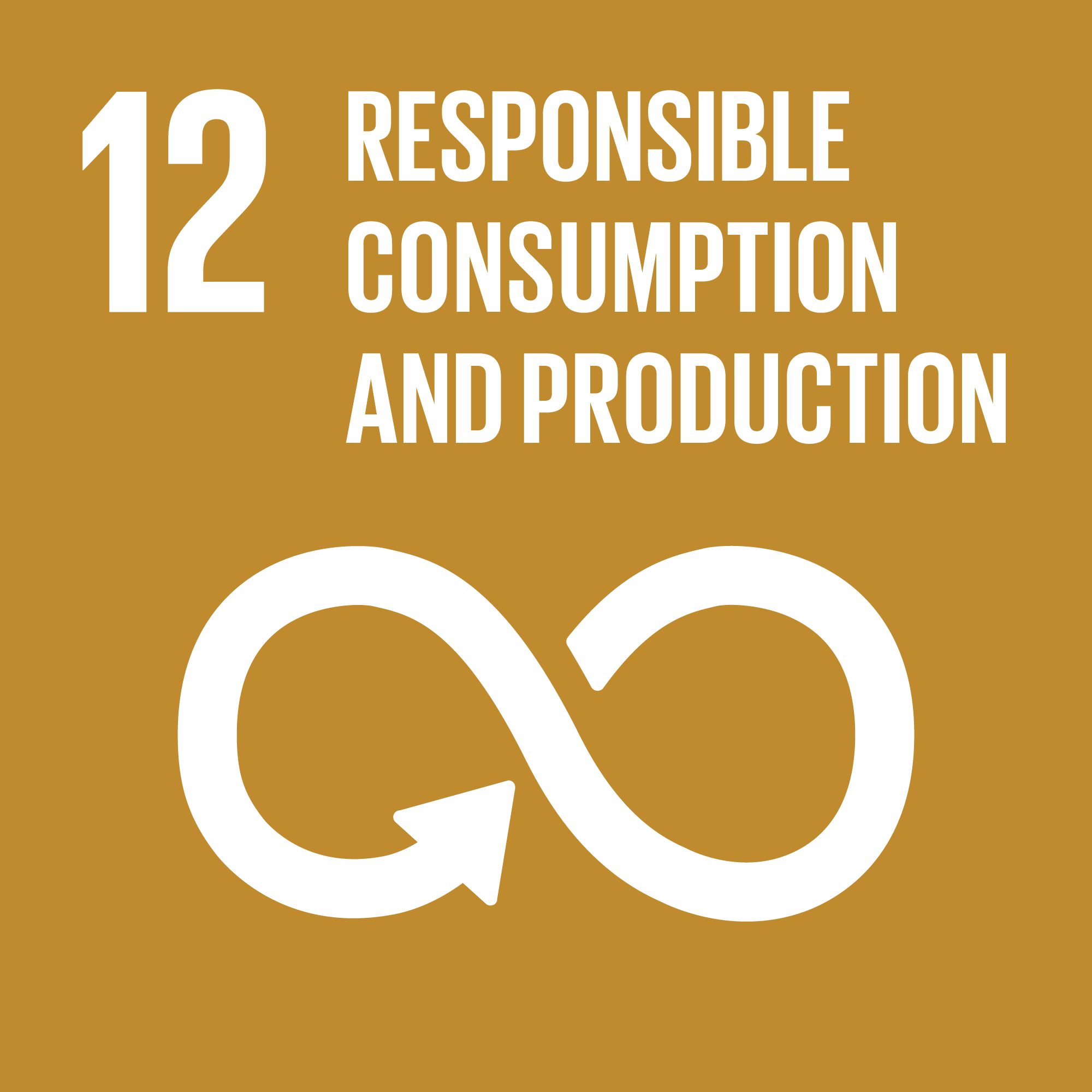 TheGlobalGoals_Icons_Color_Goal_12.png