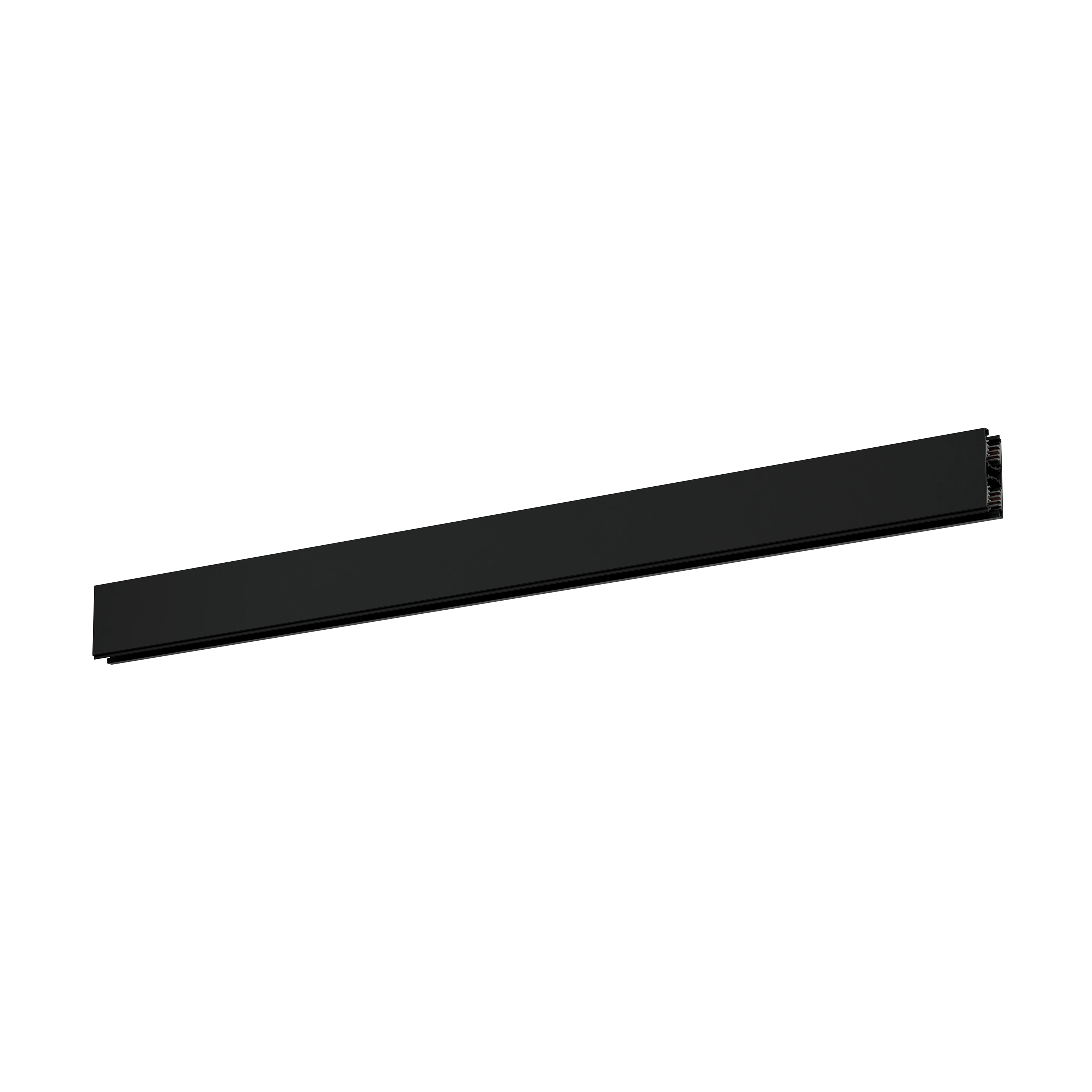 Control Track Dual pendant black
