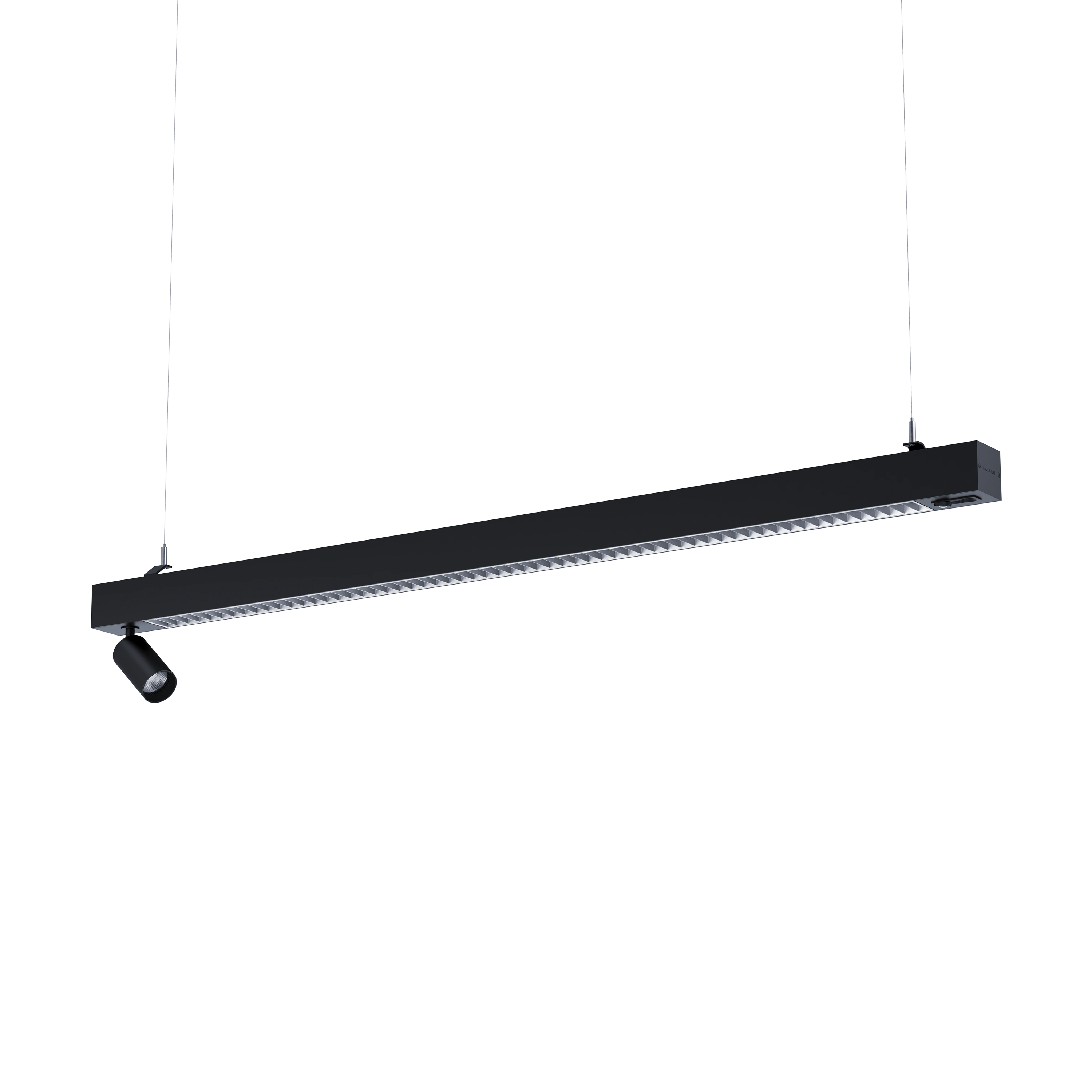 Notor 65 Dynamic betaopti black or