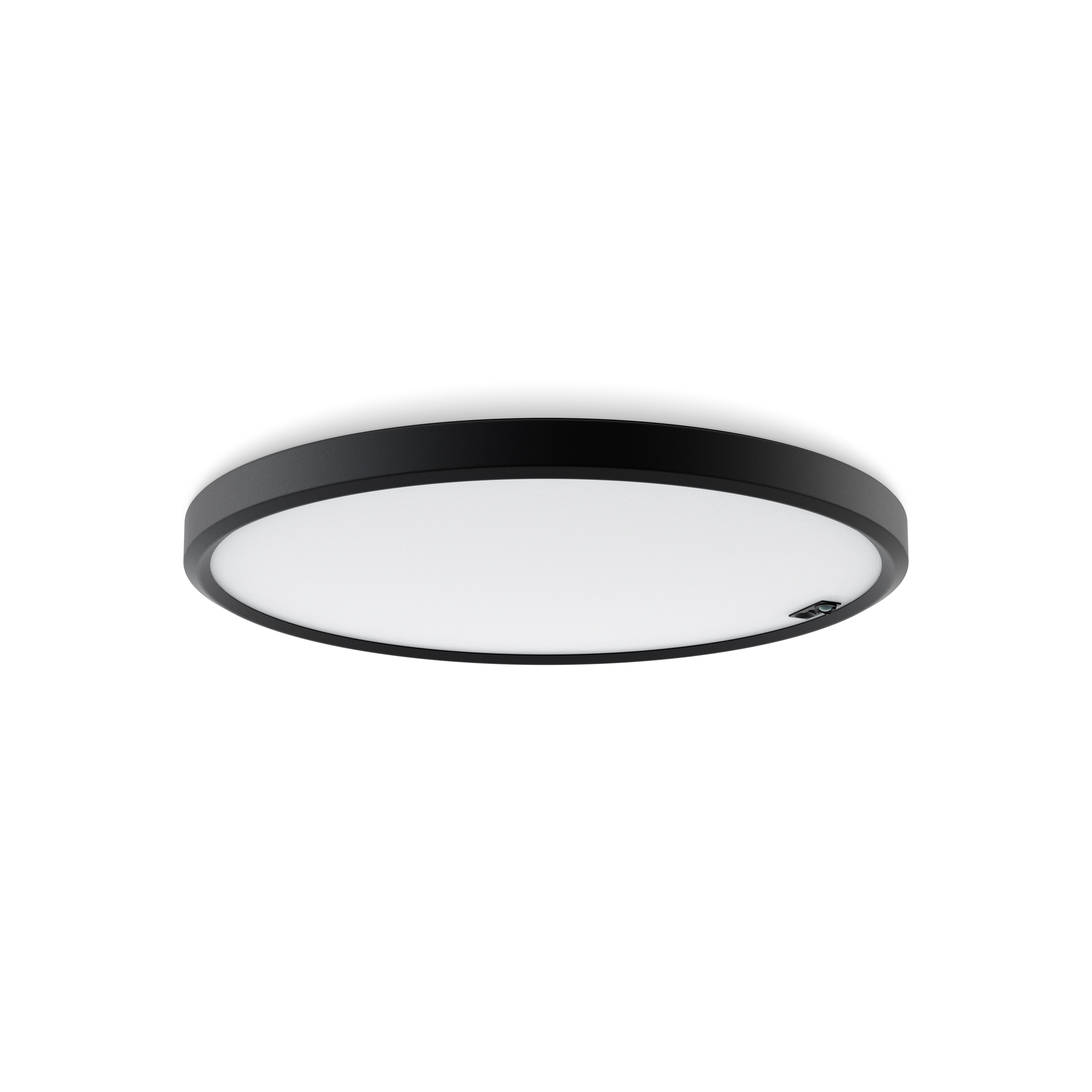 Pozzo scale surface OR